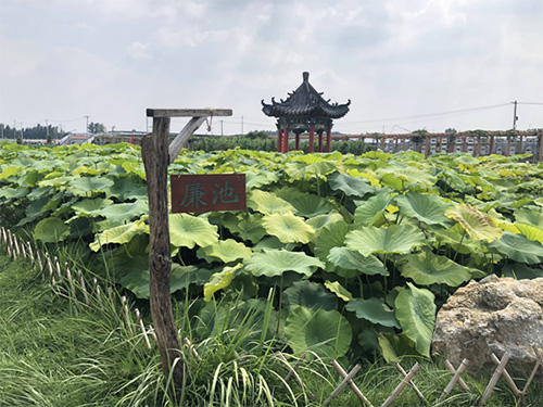 赌博平台