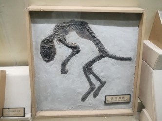 赌博平台