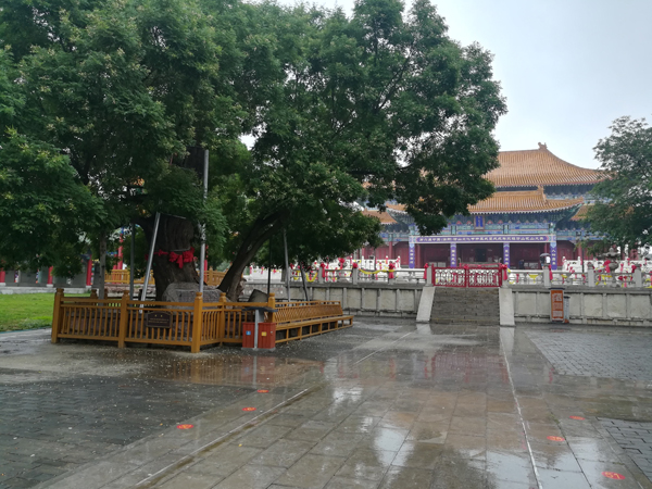 赌博平台