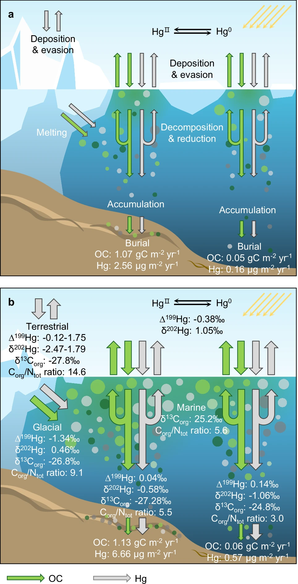 c11539e956784222beadbef227e6c96e.png 34.png