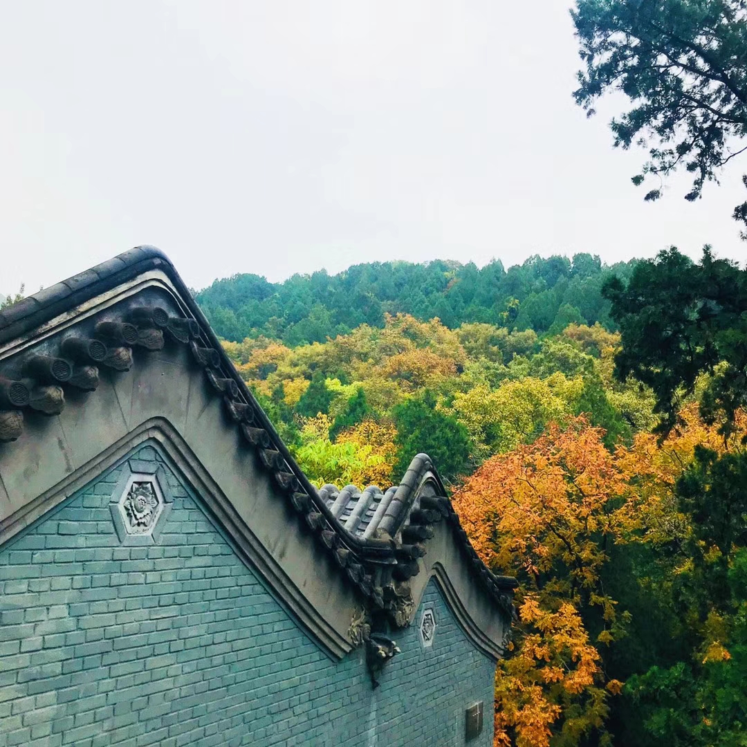 赌博平台