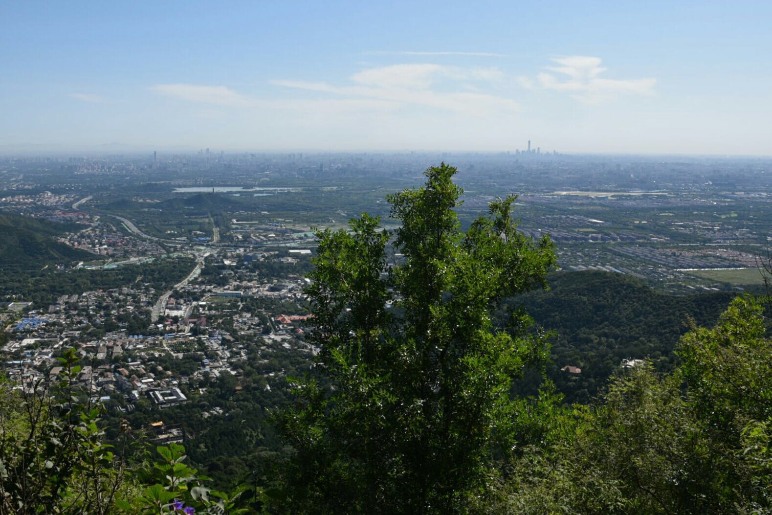 赌博平台